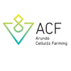 Arundo Cellulóz Farming
